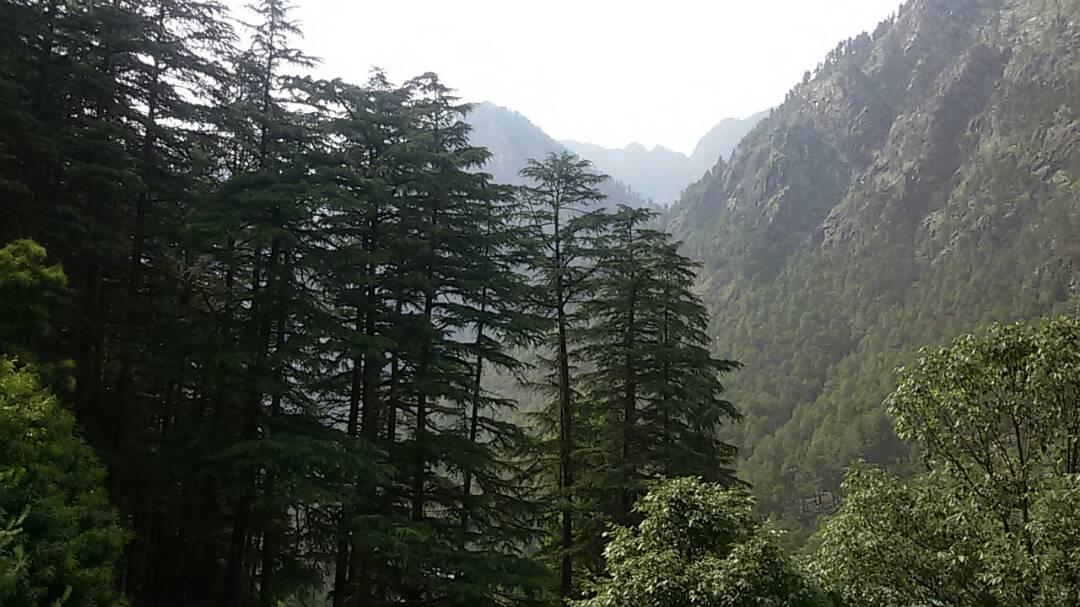 Hotel Deep Forest Kasol Exterior foto